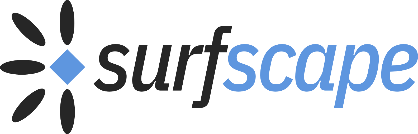 SurfScape logo in light blue and dark gray